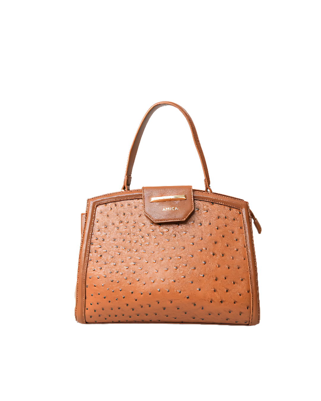 AMICA Beronia Tan Ladies Handbag